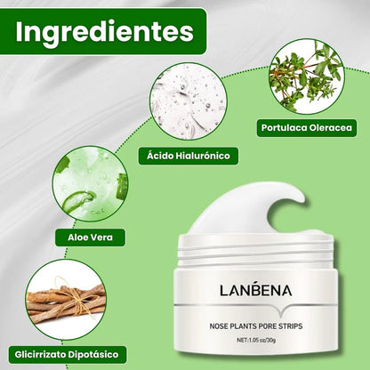 Lanbena™ Mascarilla Avanzada para Puntos Negros